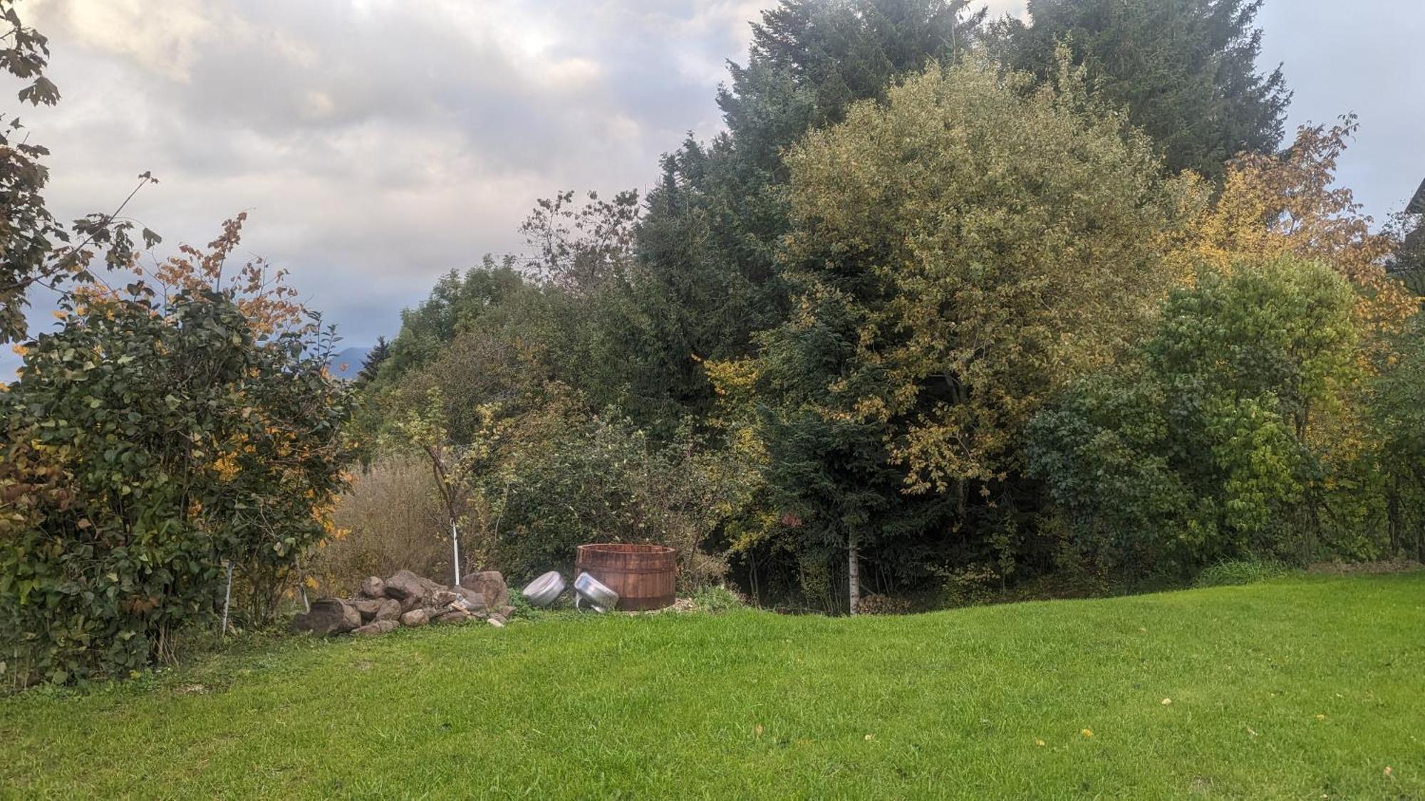 Domaine De La Griffe - Chambres D'Hotes "Roche Parnal" La Roche-sur-Foron Eksteriør billede